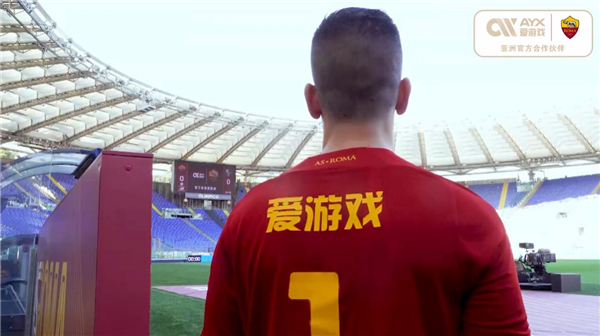 意将资源投